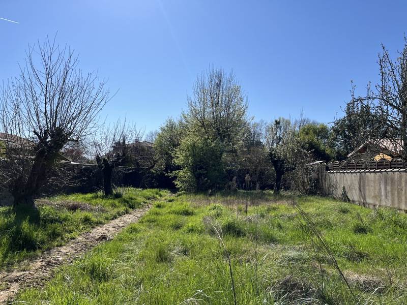 Vente Terrain LEOGNAN - -509 m² - (33850)