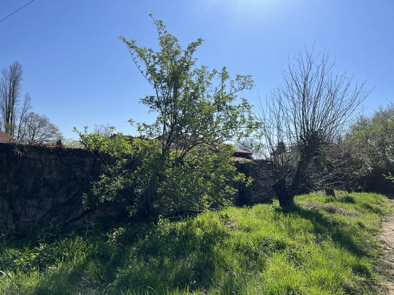 Vente Terrain LEOGNAN - -509 m² - (33850)