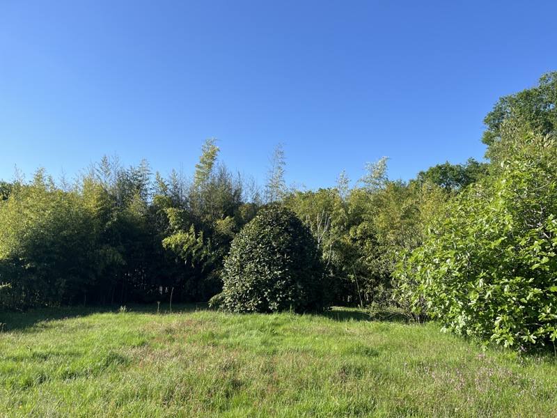 Vente Terrain GRADIGNAN - -502 m² - (33170)