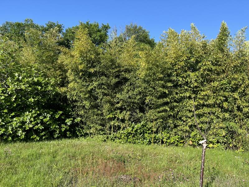 Vente Terrain GRADIGNAN - -502 m² - (33170)