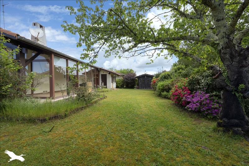 Vente Maison BISCARROSSE - 5 pièces -127 m² - (40600)