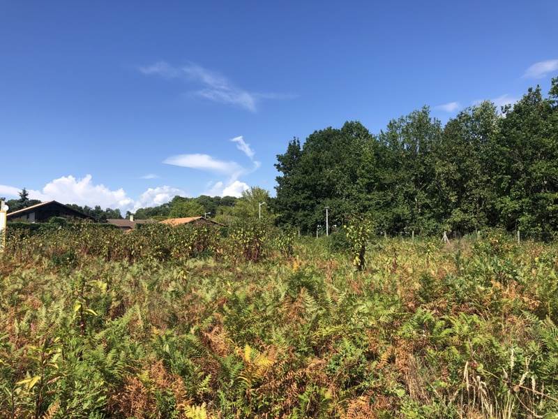 Vente Terrain BISCARROSSE - -486 m² - (40600)