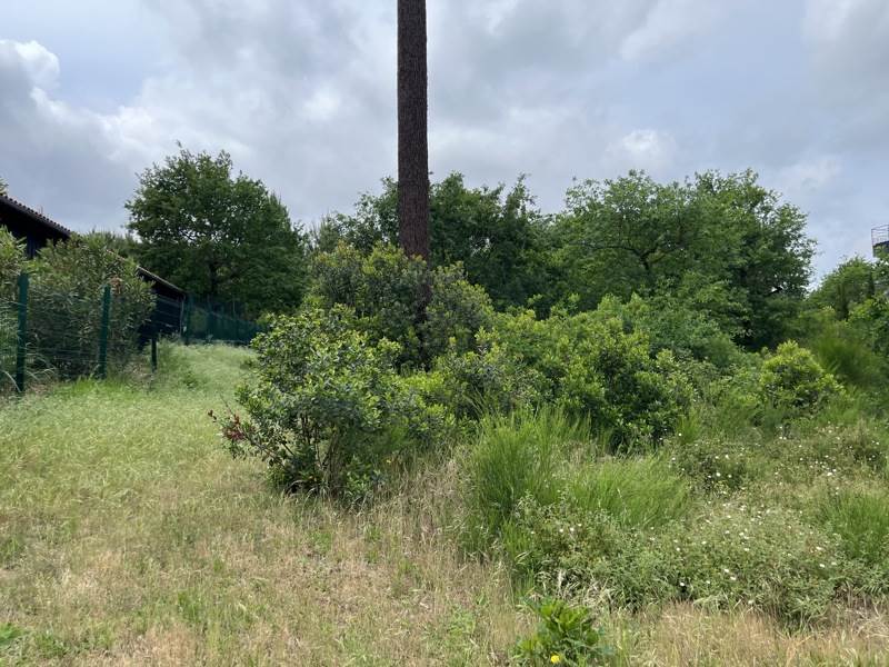 Vente Terrain BISCARROSSE - -1112 m² - (40600)
