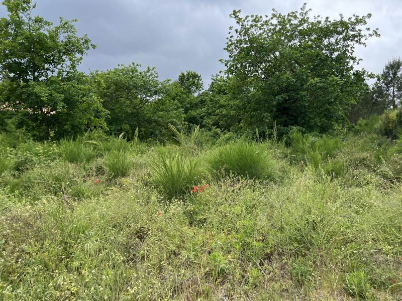 Vente Terrain BISCARROSSE - -1112 m² - (40600)