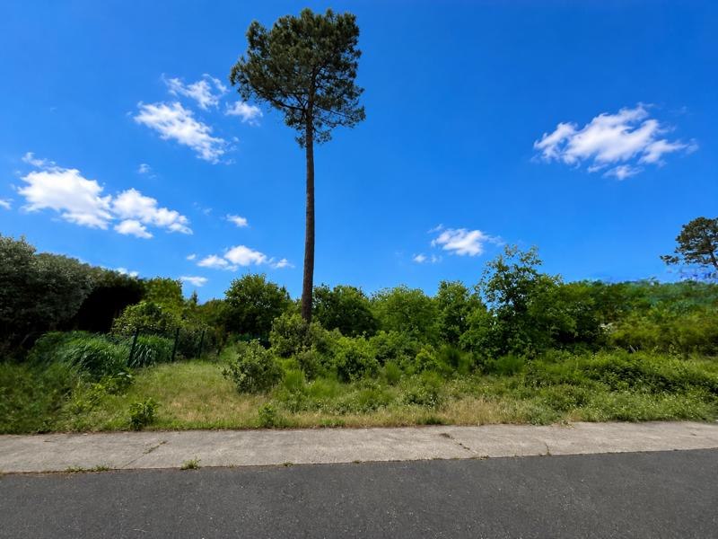 Vente Terrain BISCARROSSE - -1112 m² - (40600)
