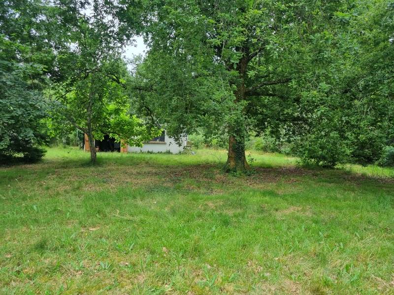 Vente Terrain BISCARROSSE - -430 m² - (40600)