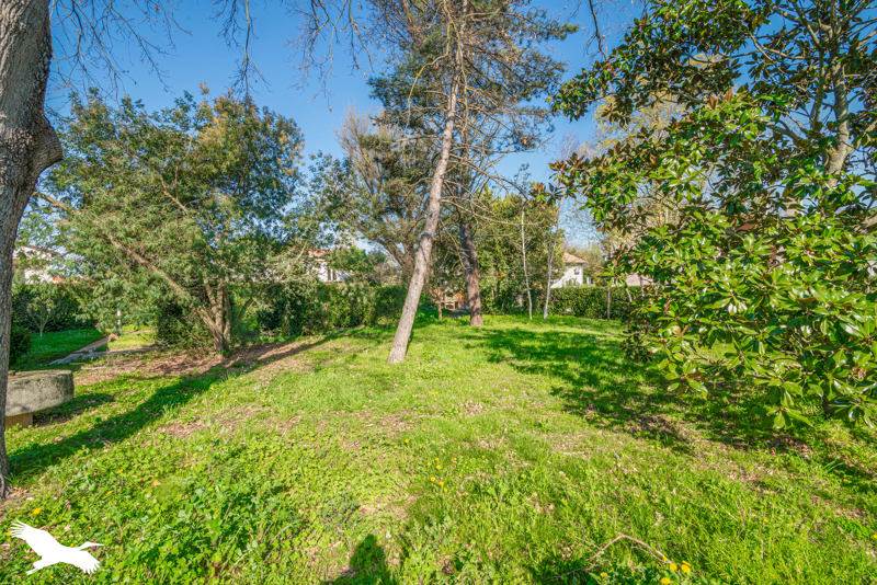 Vente Maison ST ALBAN - 6 pièces -198 m² - (31140)