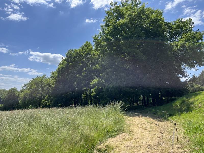 Vente Terrain ST PARDOUX LA RIVIERE - -2216 m² - (24470)
