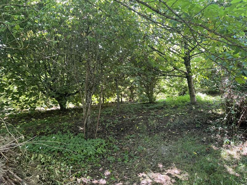 Vente Maison ST SAUD LACOUSSIERE - 6 pièces -156 m² - (24470)