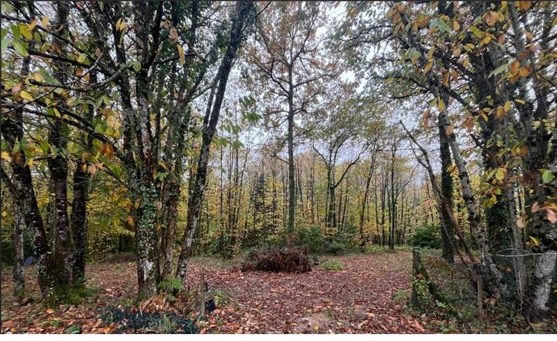 Vente Terrain NONTRON - -9050 m² - (24300)