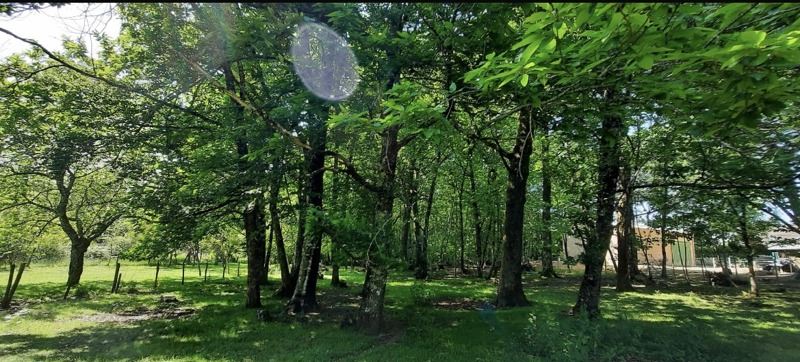 Vente Terrain NONTRON - -4928 m² - (24300)