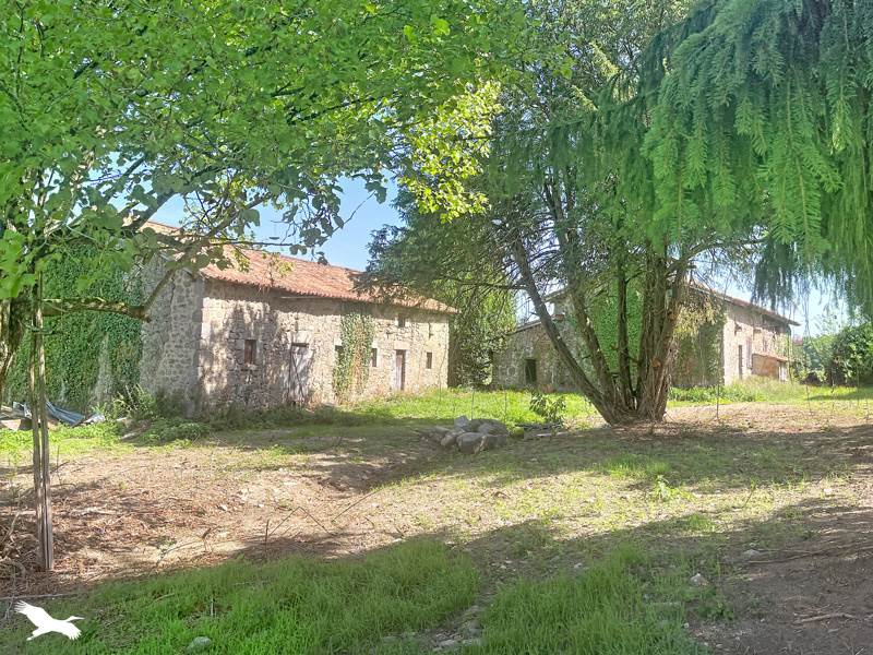 Vente Maison Busserolles - 3 pièces -75 m² - (24360)