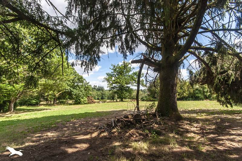 Vente Maison MARVAL - 19 pièces -491 m² - (87440)