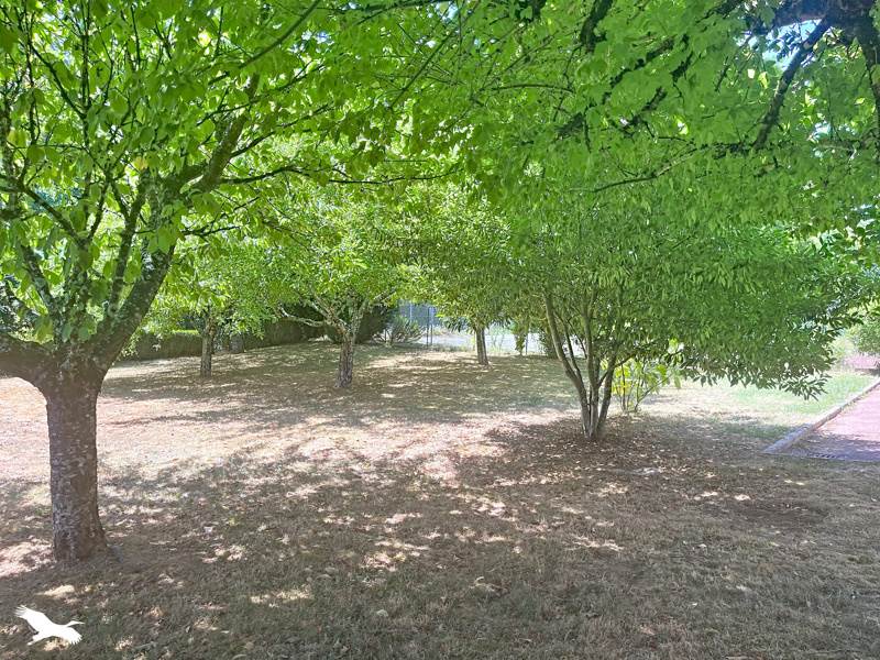 Vente Maison ST SAUD LACOUSSIERE - 8 pièces -217 m² - (24470)