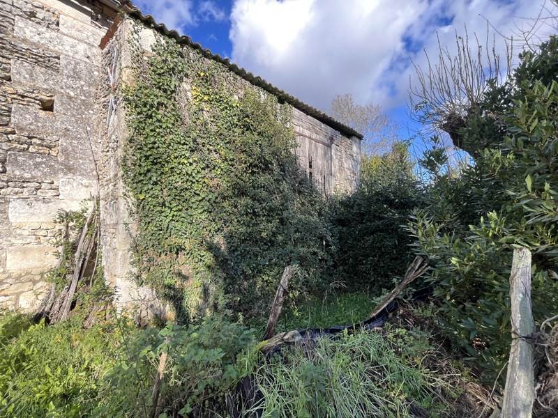 Vente Grange CHANIERS - 3 pièces -292 m² - (17610)