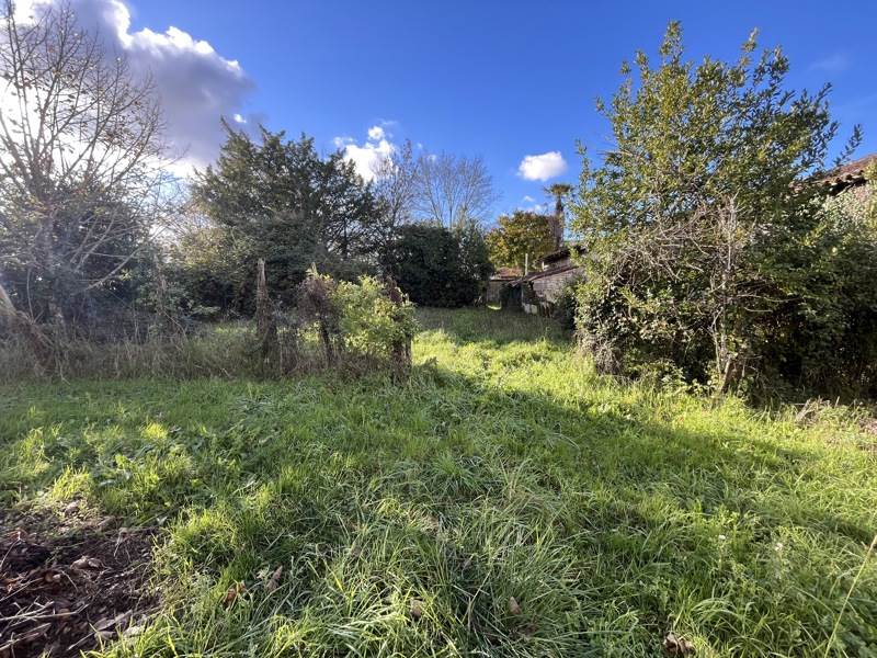Vente Grange CHANIERS - 3 pièces -292 m² - (17610)
