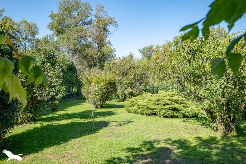 Vente Maison BUSSAC SUR CHARENTE - 9 pièces -218 m² - (17100)